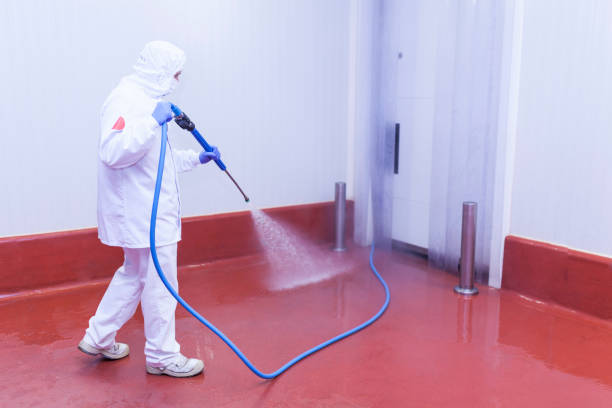 Best Dumpster Area Cleaning  in Lealman, FL