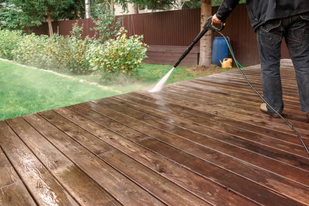 Best Rust Removal  in Lealman, FL